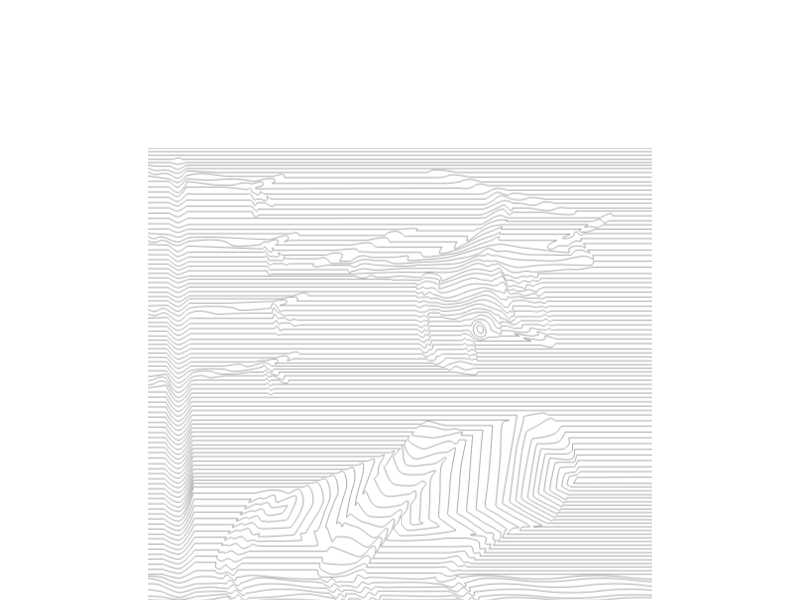 Laelaps AI Ltd